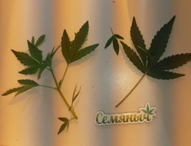 20220621_104658.jpg 20220621_104658.jpg