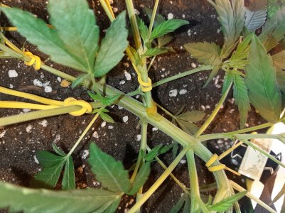 20220621_104712.jpg 20220621_104712.jpg