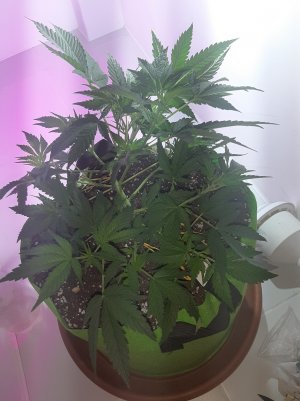 20220621_120048.jpg 20220621_120048.jpg