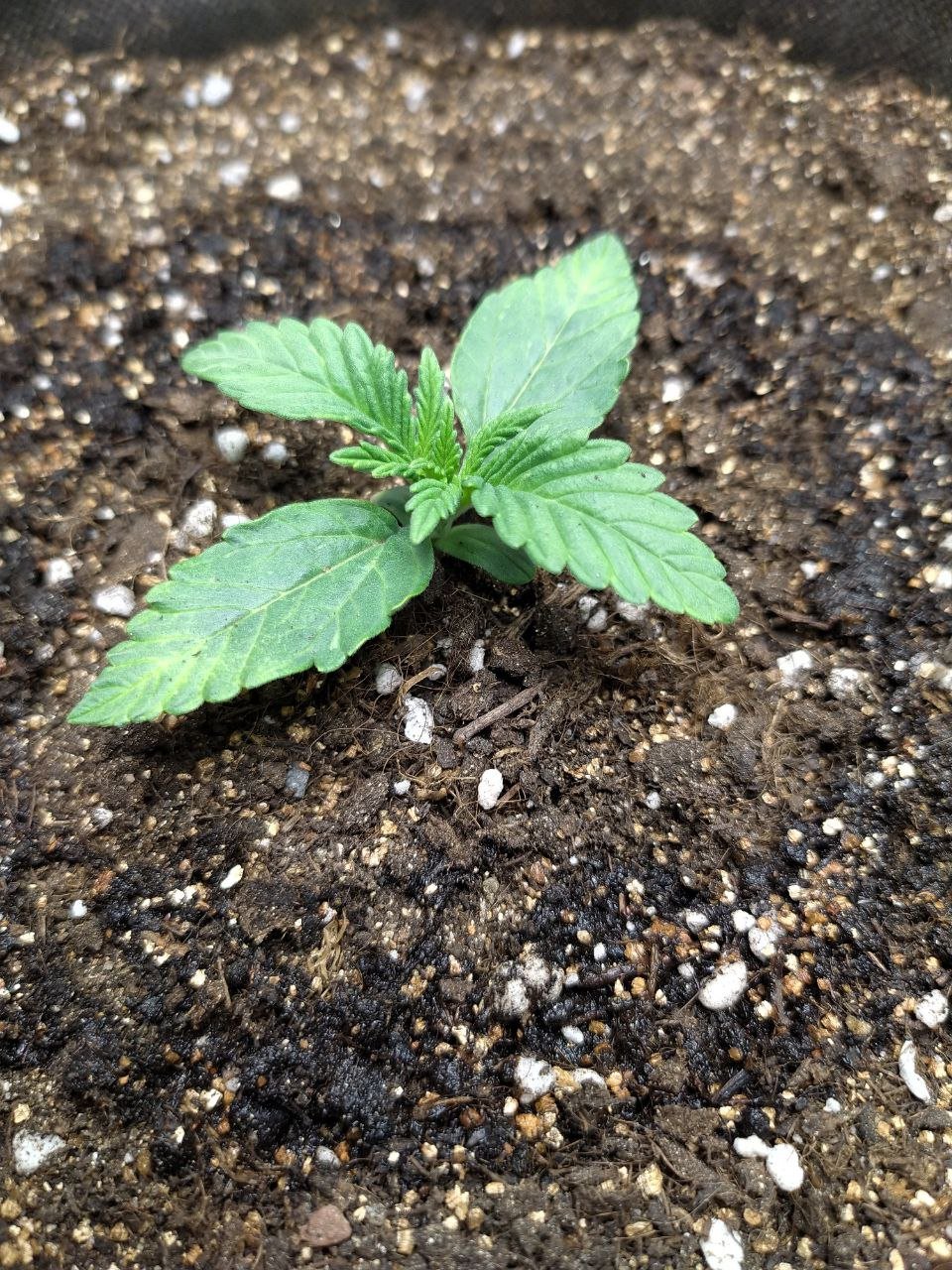 ph1 — копия.jpg ph1 — копия.jpg