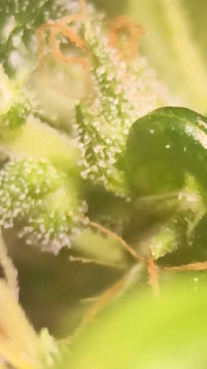 2022-6-22 21-9-26.jpg