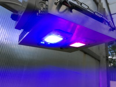 D186C028-F0E4-47E3-A7CD-70CABA087030.jpeg D186C028-F0E4-47E3-A7CD-70CABA087030.jpeg