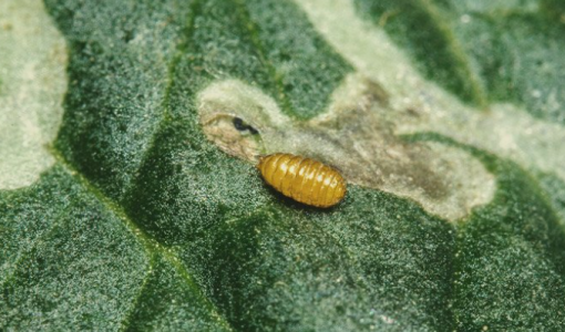 1656102012875.png 1656102012875.png