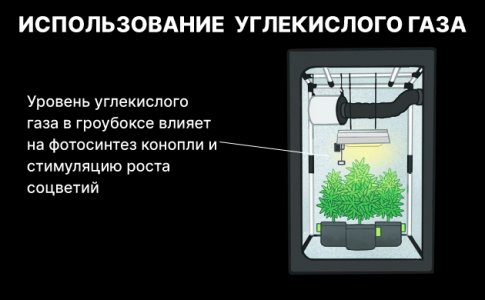 Углекислый газ для конопли Углекислый газ для конопли