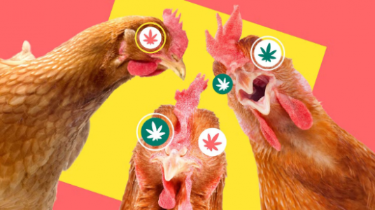 1656169307744.png 1656169307744.png