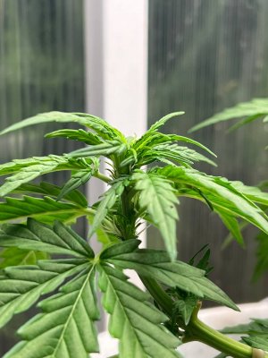 6D63F058-80E2-4A7D-99C0-48619AE393D3.jpeg 6D63F058-80E2-4A7D-99C0-48619AE393D3.jpeg