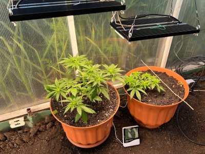 1D19B96F-CD8A-440A-86DF-50D2BFE238D5.jpeg 1D19B96F-CD8A-440A-86DF-50D2BFE238D5.jpeg