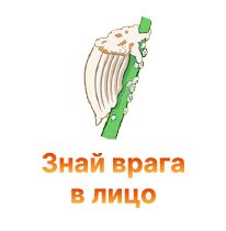 Вредители - знай врага в лицо