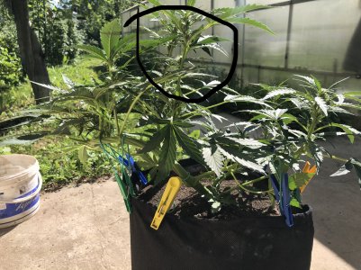 D497EFFF-8615-4C51-BA5A-7CBFEFA55F4D.jpeg D497EFFF-8615-4C51-BA5A-7CBFEFA55F4D.jpeg