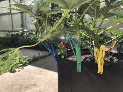 51EA32E3-D57B-4314-A160-7B6380018789.jpeg 51EA32E3-D57B-4314-A160-7B6380018789.jpeg