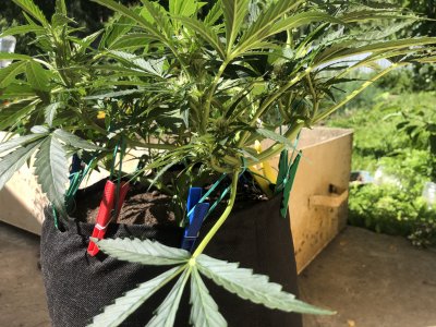 F1C7BD93-8DA7-41BE-9030-C4EF35211FA7.jpeg F1C7BD93-8DA7-41BE-9030-C4EF35211FA7.jpeg