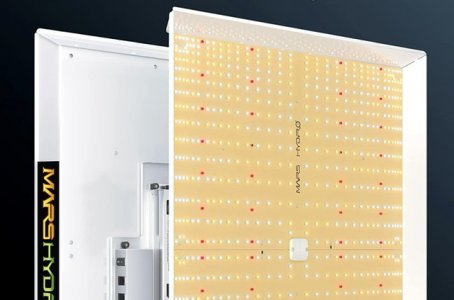 3EA0D1B1-55C8-4669-88E4-F023080D6791.jpeg 3EA0D1B1-55C8-4669-88E4-F023080D6791.jpeg