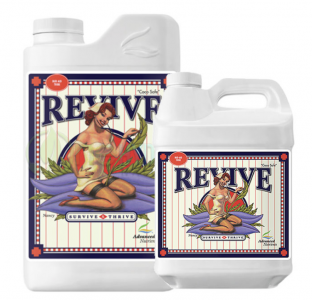 Изображение PNG 2.png Изображение PNG 2.png