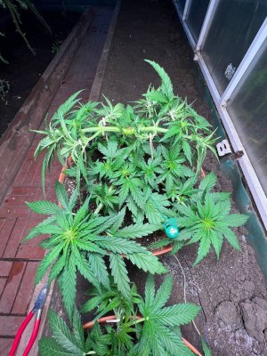 D2D7A247-998A-4338-A9F3-BEF6DF8BAA9B.jpeg D2D7A247-998A-4338-A9F3-BEF6DF8BAA9B.jpeg