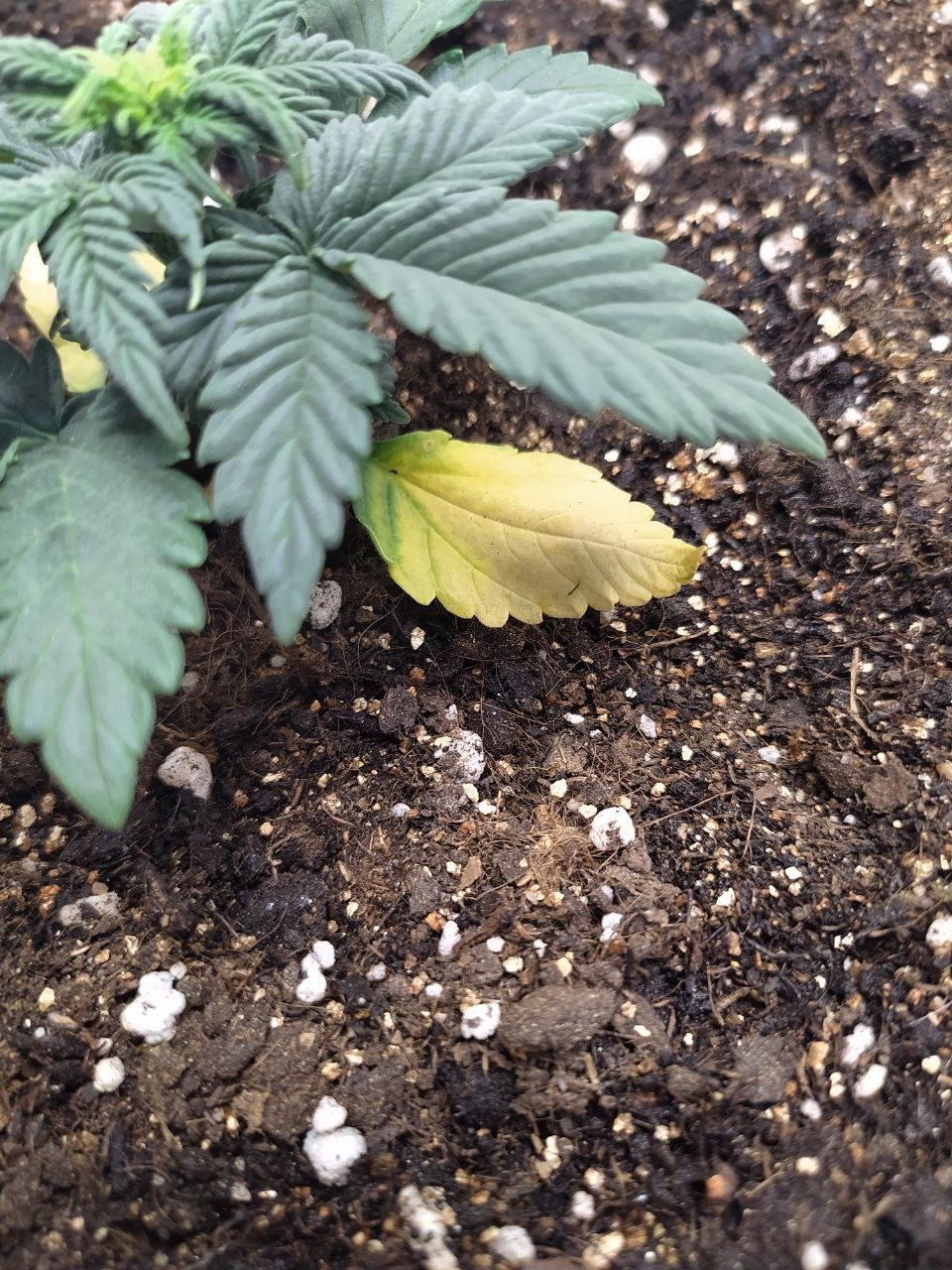 photo2 — копия.jpg