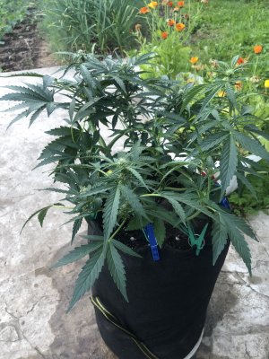 EC8E93CD-602D-48EF-9676-27A4797F2D37.jpeg EC8E93CD-602D-48EF-9676-27A4797F2D37.jpeg