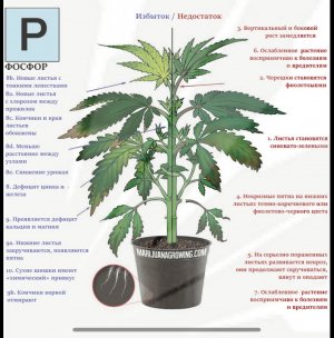 CD8C5CB3-8DEA-4A7F-B478-2E47A07659EF.jpeg CD8C5CB3-8DEA-4A7F-B478-2E47A07659EF.jpeg