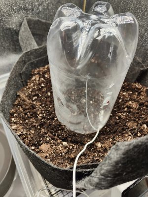 IMG20220705094331_обработано.jpg IMG20220705094331_обработано.jpg