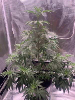 5.07.1.jpg 5.07.1.jpg