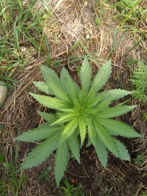 IMG_20220708_141610.jpg IMG_20220708_141610.jpg