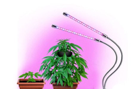 лампы для конопли
