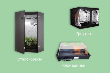 виды гроубоксов для конопли