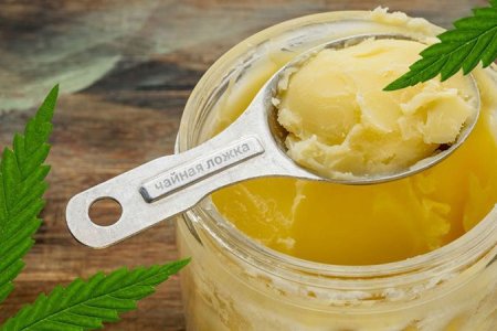 дозировка канна-масла