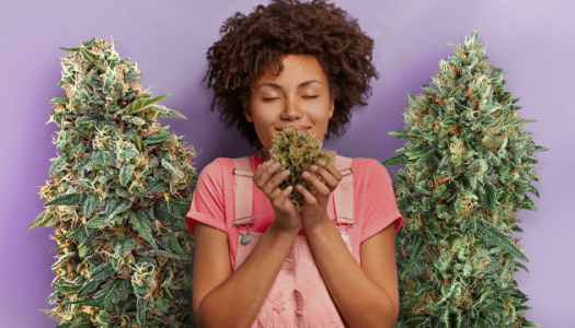 1610291146160.png 1610291146160.png