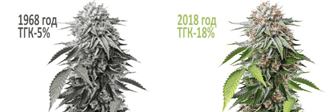 1610543709870.png 1610543709870.png