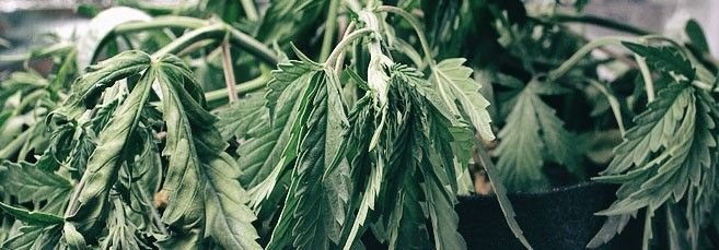 фото1.jpg фото1.jpg