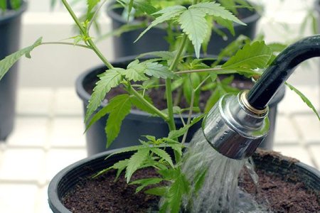 фото2.jpg фото2.jpg