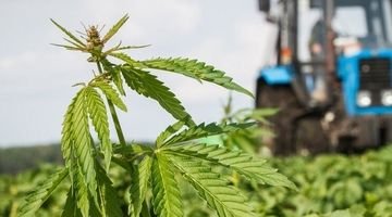 фото4.jpg фото4.jpg