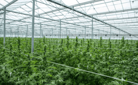 1613564788912.png 1613564788912.png