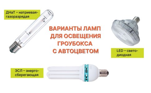 Освещение для автоцвета в домашних условиях Освещение для автоцвета в домашних условиях