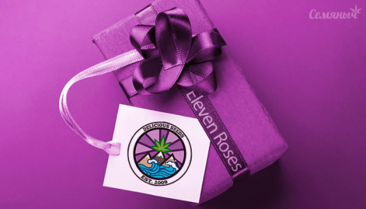 1614961287923.png 1614961287923.png