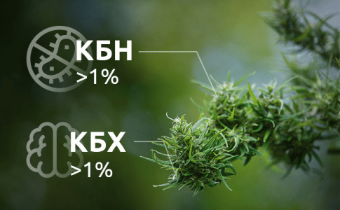 1614964764677.png 1614964764677.png