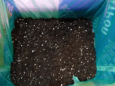 DSC00283.jpg DSC00283.jpg