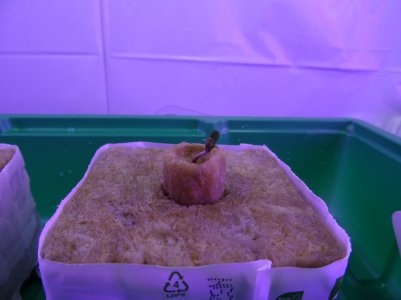 DSC00291.jpg DSC00291.jpg