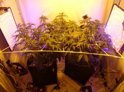 DSC00319.jpg DSC00319.jpg