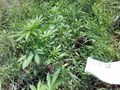 20160516_014240.jpg 20160516_014240.jpg