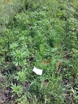 20160516_014251.jpg 20160516_014251.jpg