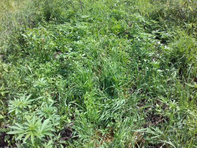 20160516_014325.jpg 20160516_014325.jpg