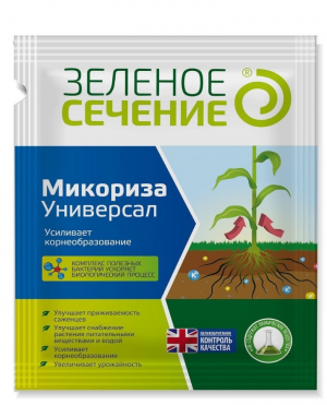 2 — копия.png