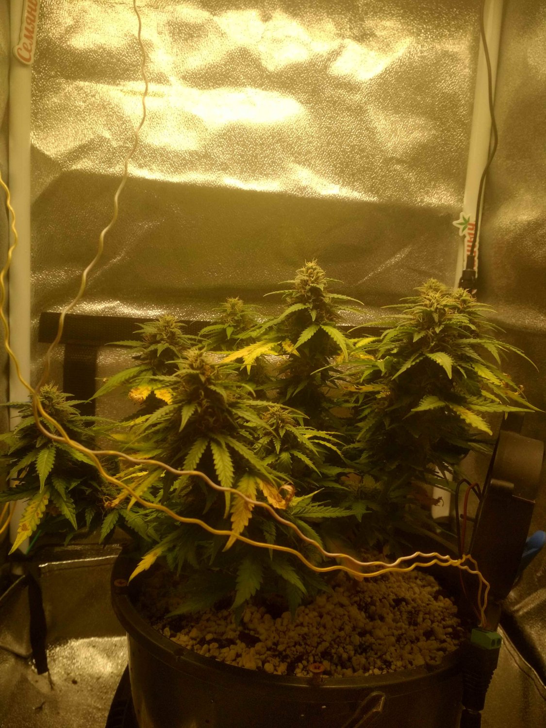 IMG_20220714_184103_HDR.jpg IMG_20220714_184103_HDR.jpg