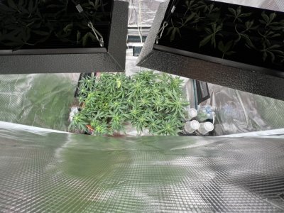 A38FA4D9-E1A6-4832-8DA9-D97041D52ED9.jpeg A38FA4D9-E1A6-4832-8DA9-D97041D52ED9.jpeg