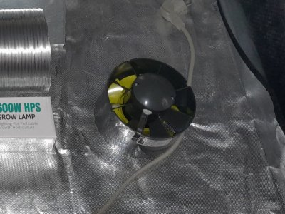 20220715_194600.jpg 20220715_194600.jpg