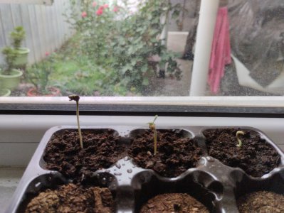 1658330033450..jpg 1658330033450..jpg