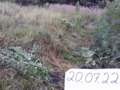 20160528_040411.jpg 20160528_040411.jpg