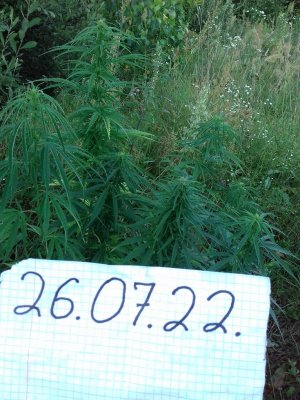 20160605_062303.jpg 20160605_062303.jpg