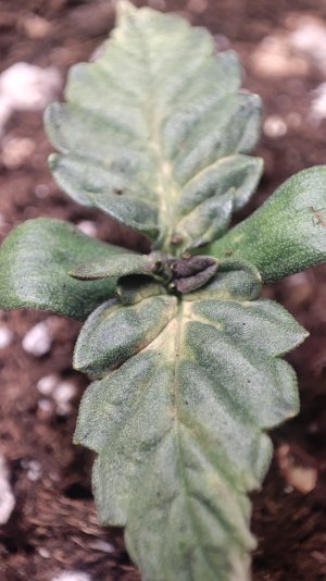 imgonline-com-ua-CompressBySize-VSO334atjB.jpg imgonline-com-ua-CompressBySize-VSO334atjB.jpg